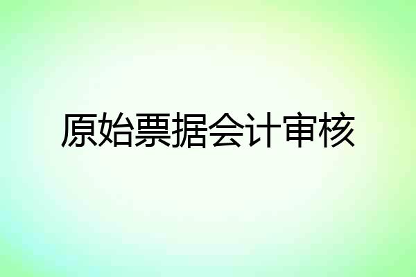 原始票据会计审核