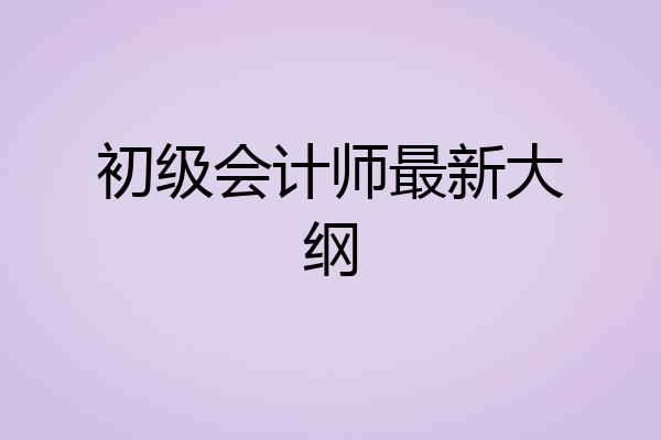 初级会计师最新大纲