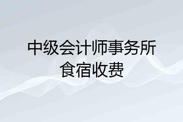 中级会计师事务所食宿收费