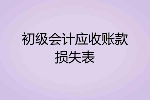 初级会计应收账款损失表