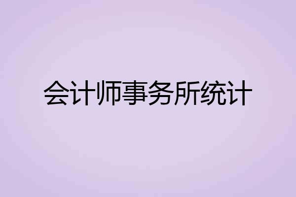 会计师事务所统计