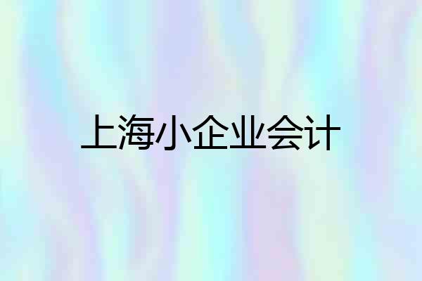 上海小企业会计