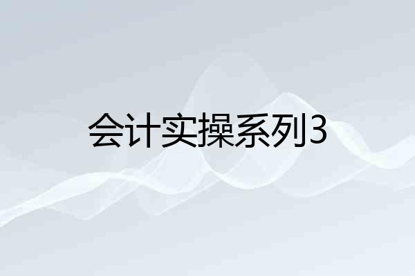 会计实操系列3