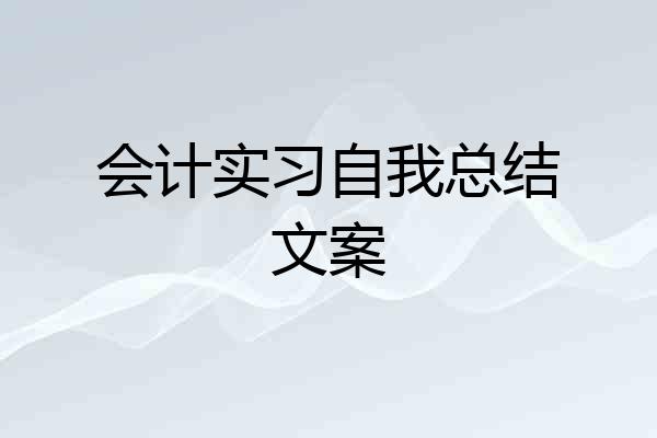 会计实习自我总结文案