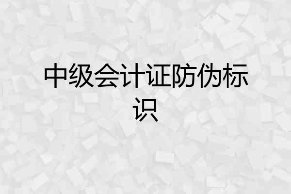 中级会计证防伪标识