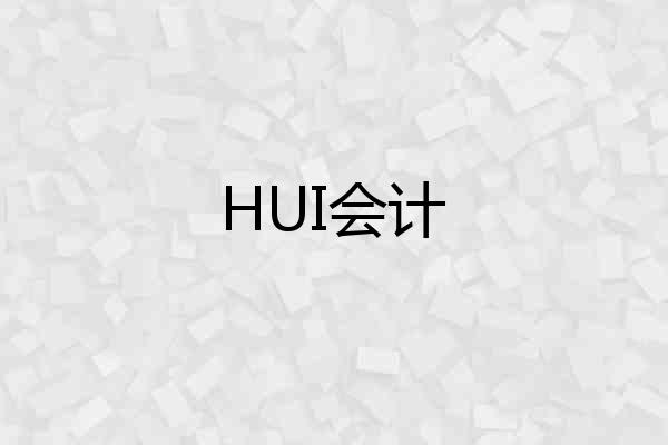 HUI会计