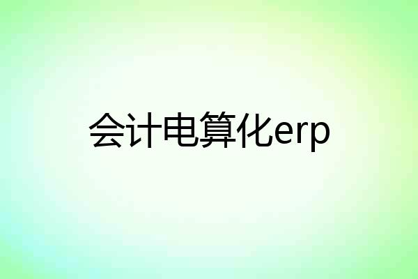 会计电算化erp