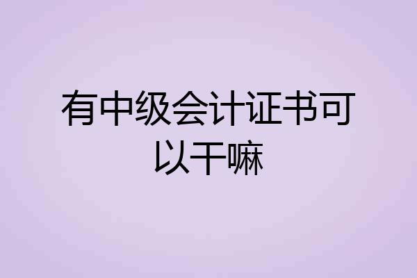 有中级会计证书可以干嘛