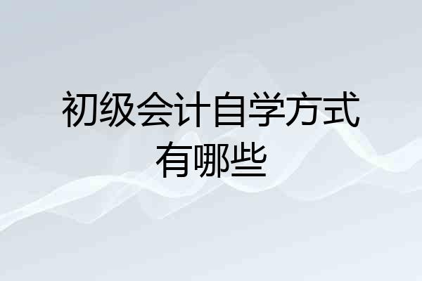 初级会计自学方式有哪些
