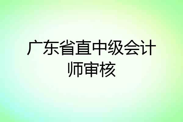 广东省直中级会计师审核
