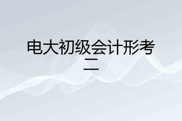 电大初级会计形考二