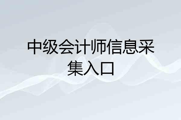 中级会计师信息采集入口