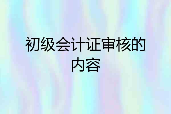 初级会计证审核的内容