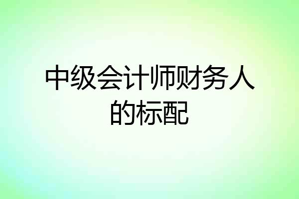 中级会计师财务人的标配