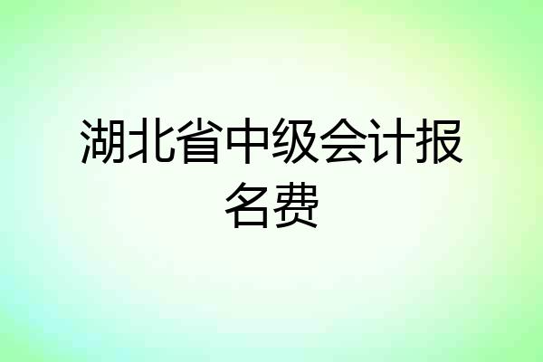 湖北省中级会计报名费