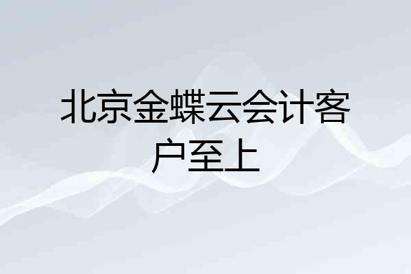 北京金蝶云会计客户至上