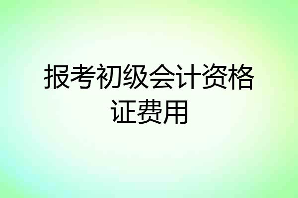报考初级会计资格证费用