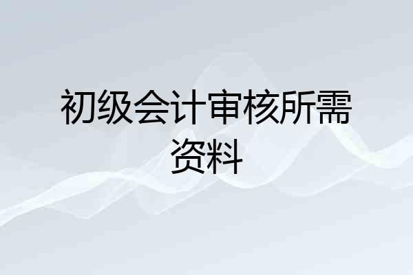 初级会计审核所需资料