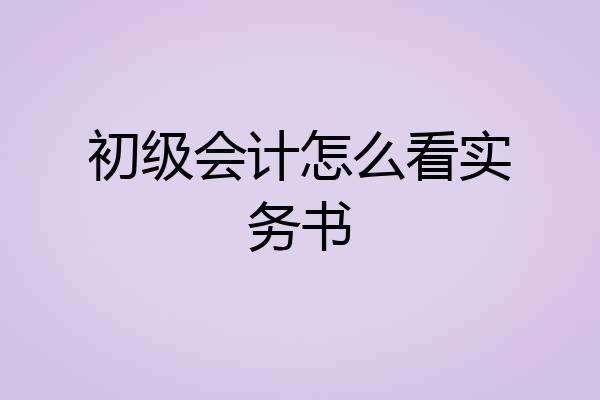 初级会计怎么看实务书