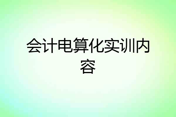 会计电算化实训内容