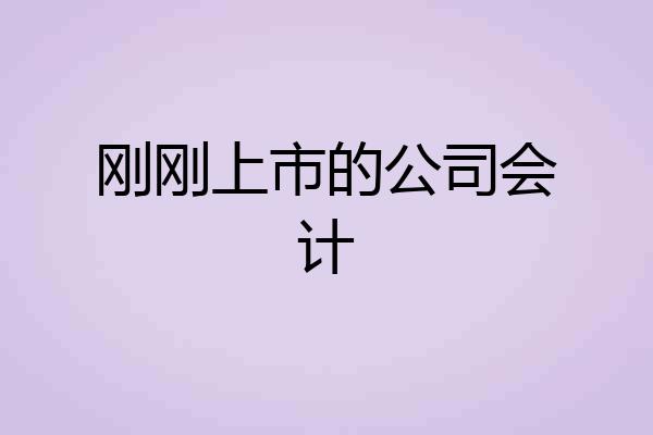 刚刚上市的公司会计