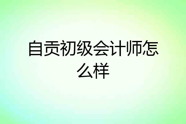 自贡初级会计师怎么样