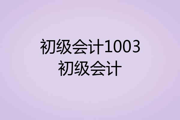 初级会计1003初级会计