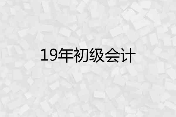 19年初级会计