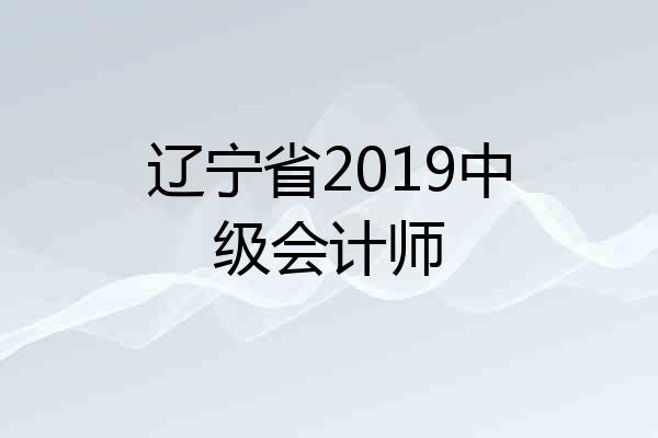 辽宁省2019中级会计师