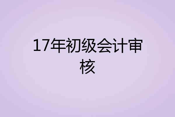 17年初级会计审核