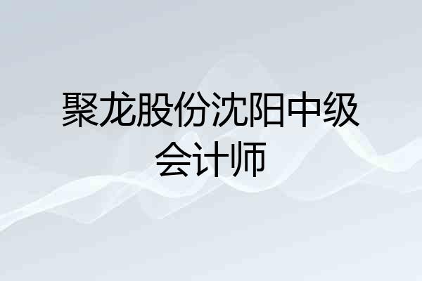 聚龙股份沈阳中级会计师