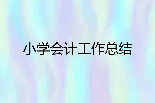 小学会计工作总结