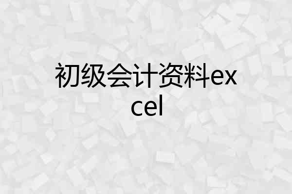 初级会计资料excel