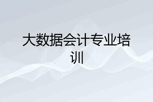 大数据会计专业培训