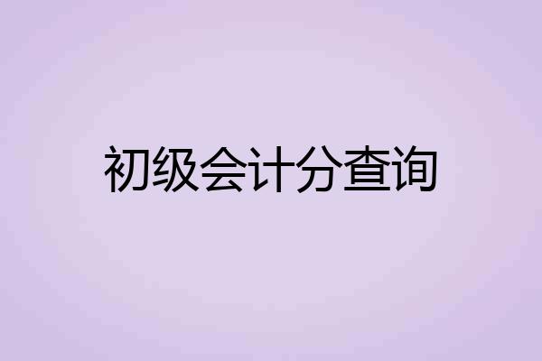 初级会计分查询
