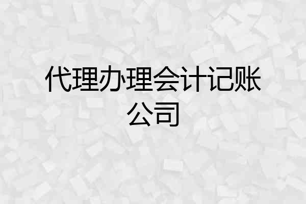 代理办理会计记账公司