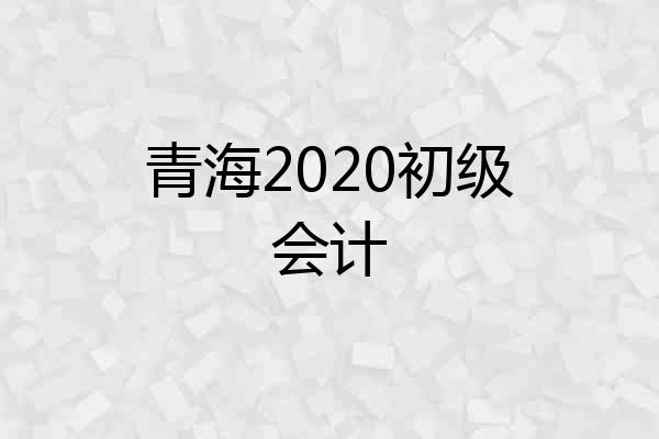 青海2020初级会计
