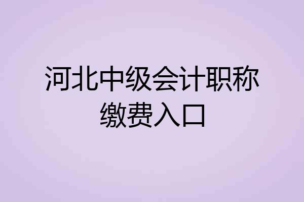河北中级会计职称缴费入口