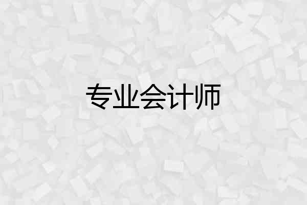 专业会计师
