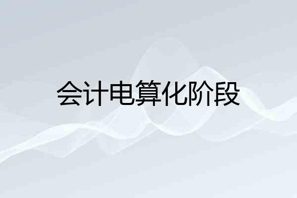 会计电算化阶段
