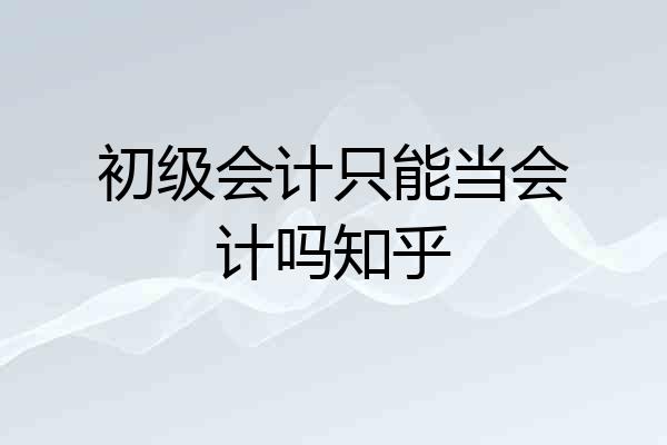 初级会计只能当会计吗知乎
