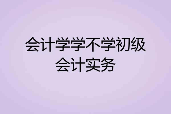 会计学学不学初级会计实务