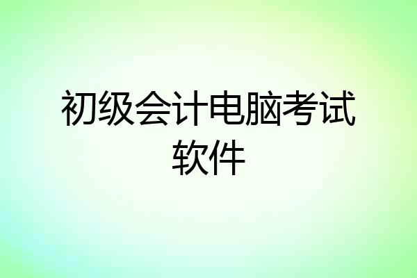 初级会计电脑考试软件