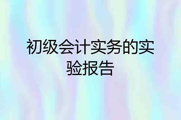 初级会计实务的实验报告