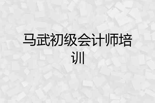 马武初级会计师培训