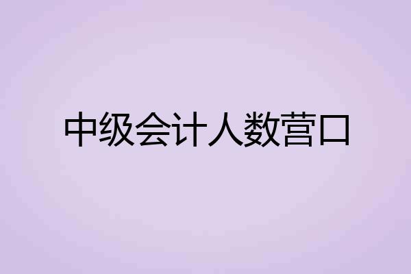 中级会计人数营口