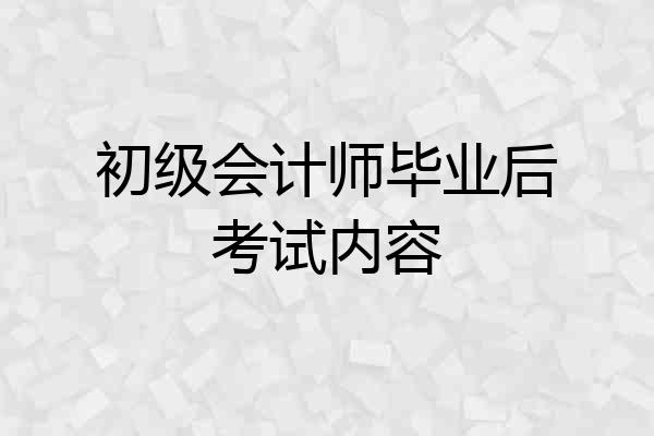 初级会计师毕业后考试内容