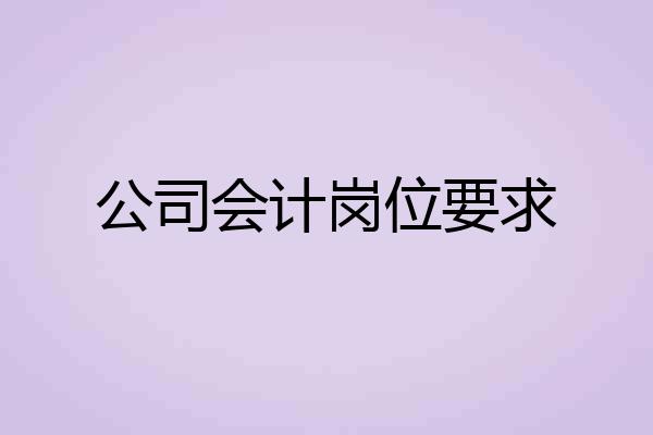 公司会计岗位要求