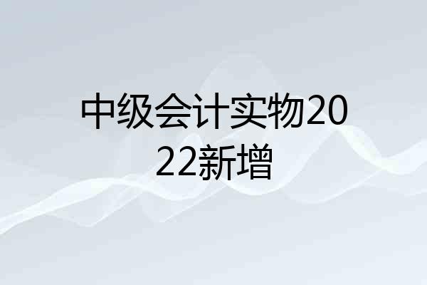 中级会计实物2022新增