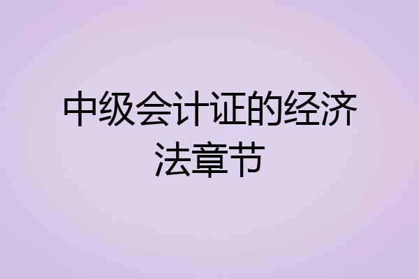 中级会计证的经济法章节